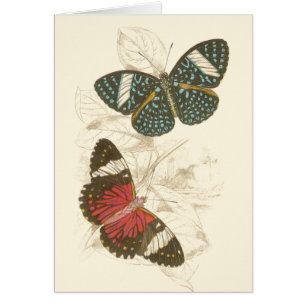 Feuille de sépia avec les papillons colorés