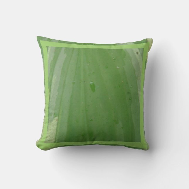 feuille d'hosta, coussin vert presque solide (Recto)