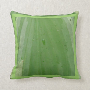 feuille d'hosta, coussin vert presque solide