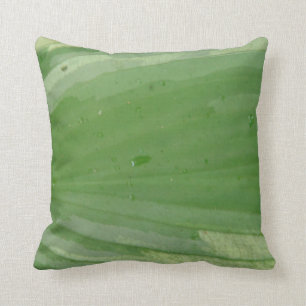 feuille d'hosta, coussin vert presque solide