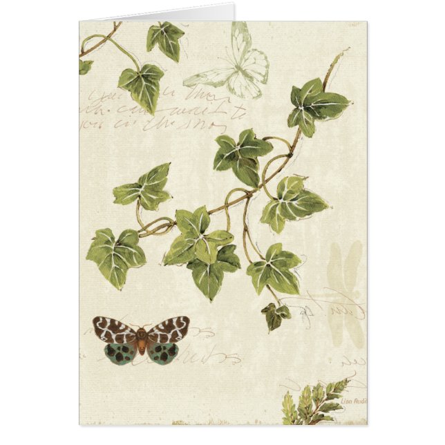 Feuille et un papillon (Devant)