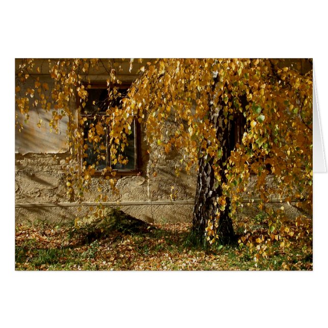 feuille jaune (Devant horizontal)