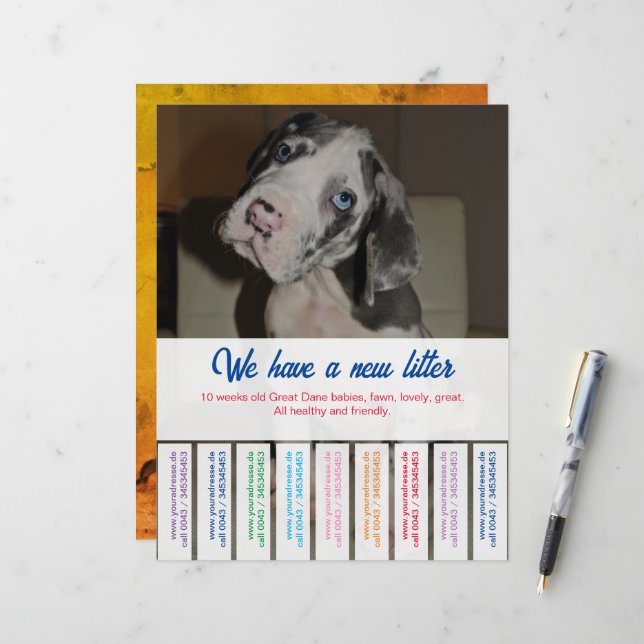Feuille papier (Devant/Arrière en situation)