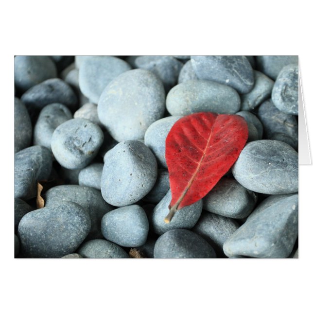 Feuille rouge et pierres (Devant horizontal)