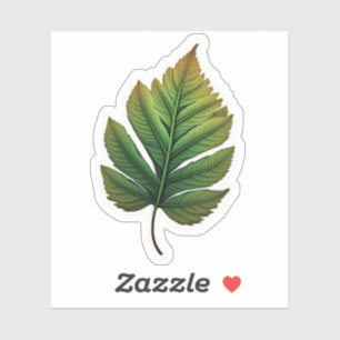 "feuille sticker" "feuille sticker paper mario" "f