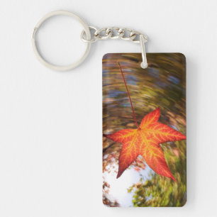 Feuille tombante d'un arbre en automne
