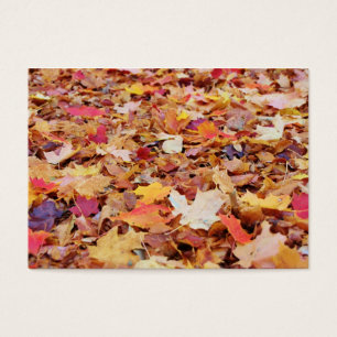 Feuille tombé en automne