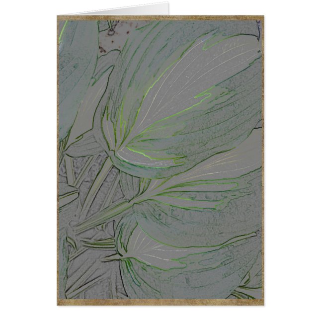 Feuille varié de hosta (Devant)