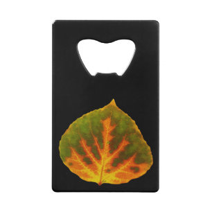 Feuille vert orange et jaune d'Aspen #1
