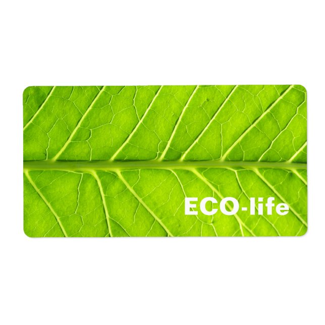 Feuille verte (Devant)