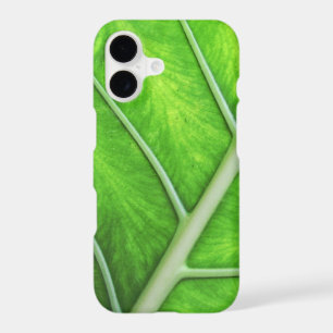 Feuille Verte Tropicale Nature - Simple Photo de S