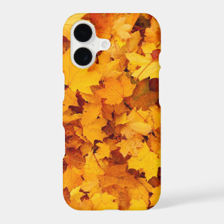 Feuilles d'automne