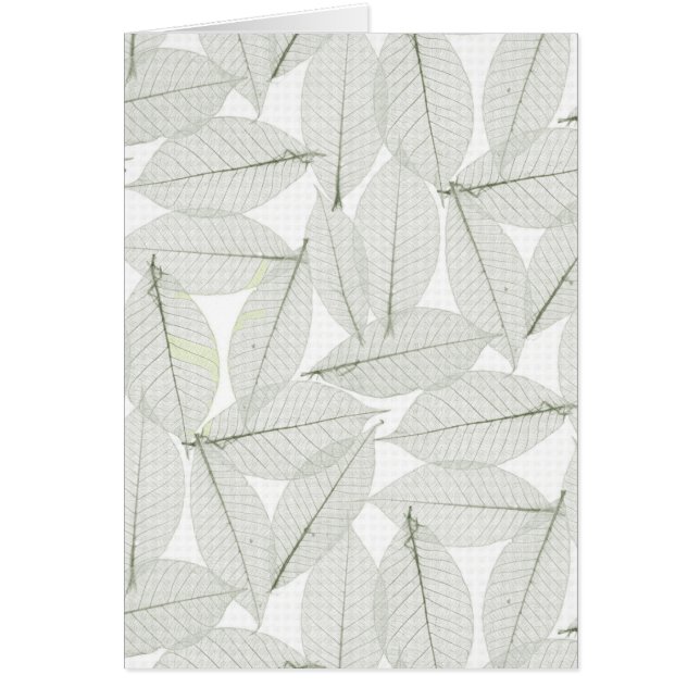 Feuilles d'automne (Devant)