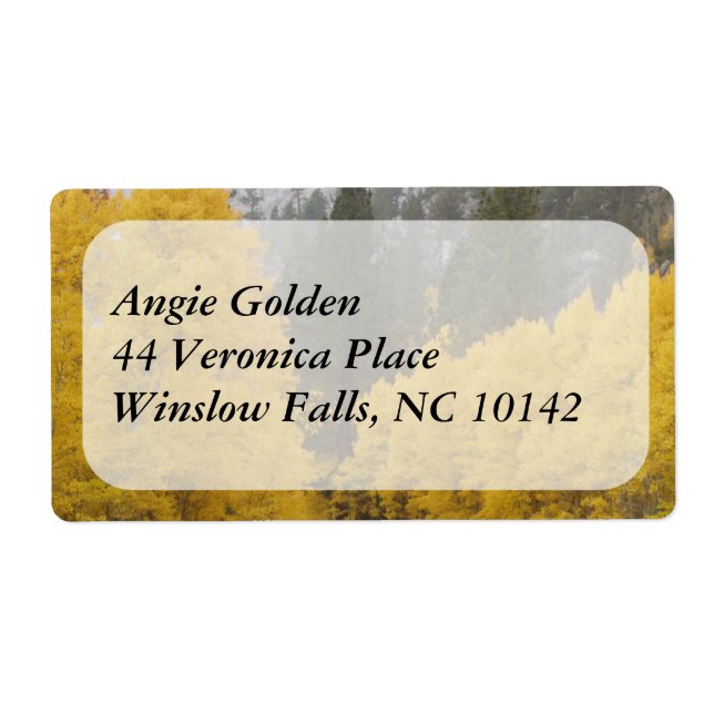 Feuilles d'automne (Devant)