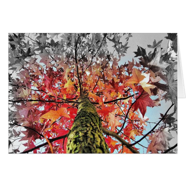 feuilles d'automne (Devant horizontal)