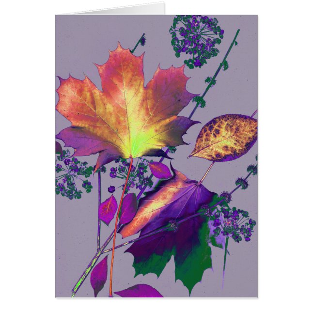 Feuilles d'automne à Lilac (Devant)