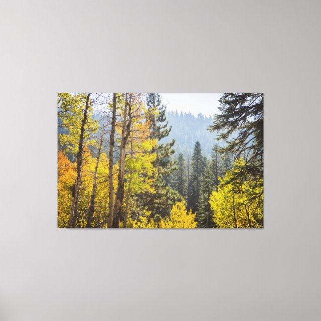 Feuilles d'automne au lac Tahoe en toile étirée (Recto)