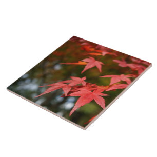 Feuilles d'automne Carreaux céramiques