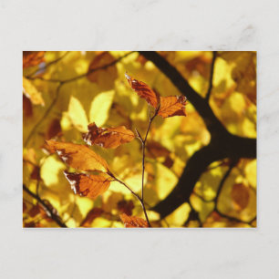 Feuilles d'automne carte postale moutarde jaune