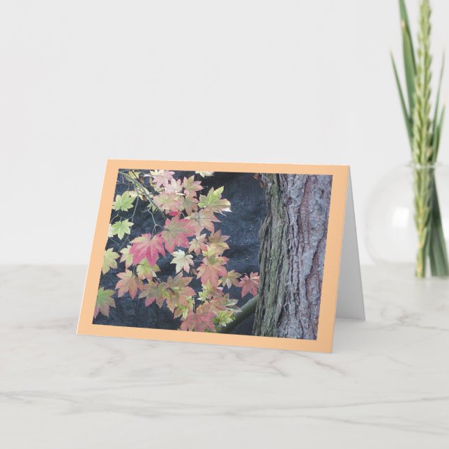 Feuilles d'automne Cartes de voeux (Devant)