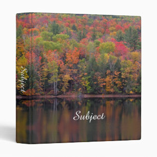 Feuilles d'automne Classeur de la scène de couleur