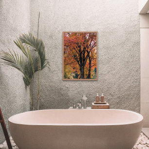 Feuilles d'automne colorées Photographie