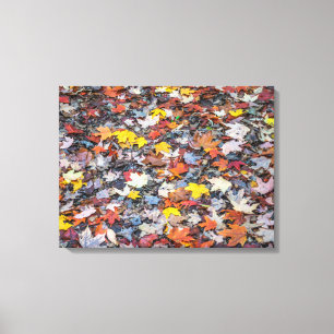 Feuilles d'automne colorées vue papier toile