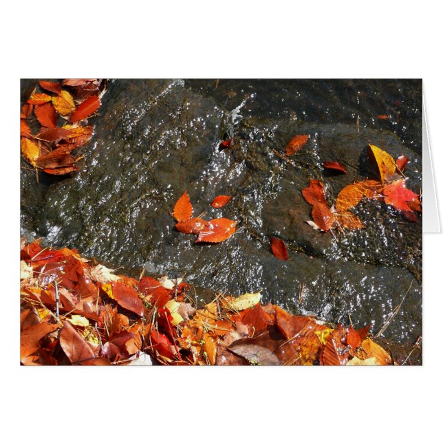 Feuilles d'automne dans la cascade I Photographie  (Devant horizontal)