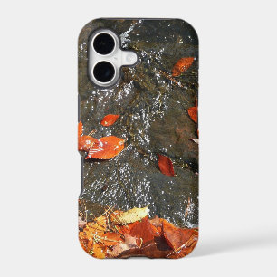 Feuilles d'automne dans la cascade I Photographie 