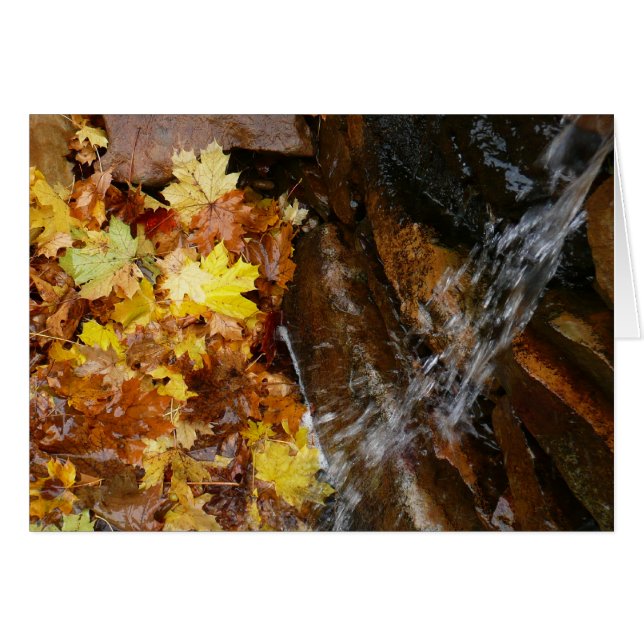 Feuilles d'automne dans la cascade III Nature auto (Devant horizontal)