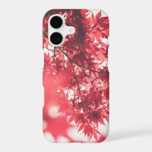 Feuilles d'automne d'érable rouge