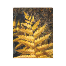 Feuilles d'automne Golden Yellow Ferme
