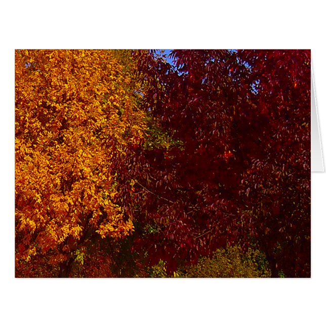 Feuilles d'automne Jaune et pourpre, ZSSPG (Devant horizontal)
