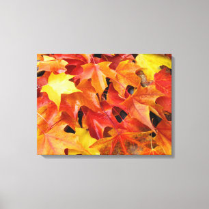 Feuilles d'automne rouges jaunes orange toile art