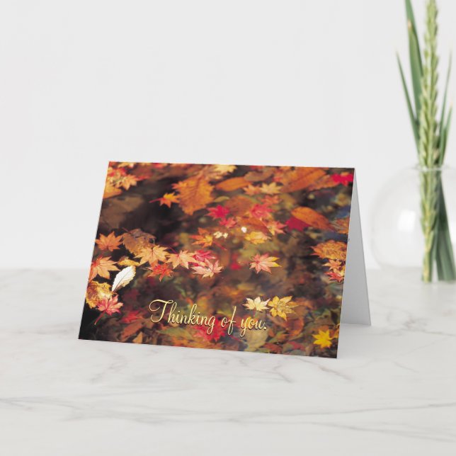 Feuilles d'automne sur la carte de conformité à l' (Devant)