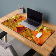 Feuilles d'automne tombées