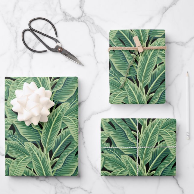 Feuilles de bananes tropicales vertes (Recto)
