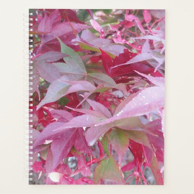 Feuilles De Chute Rose Et Sage (Devant)