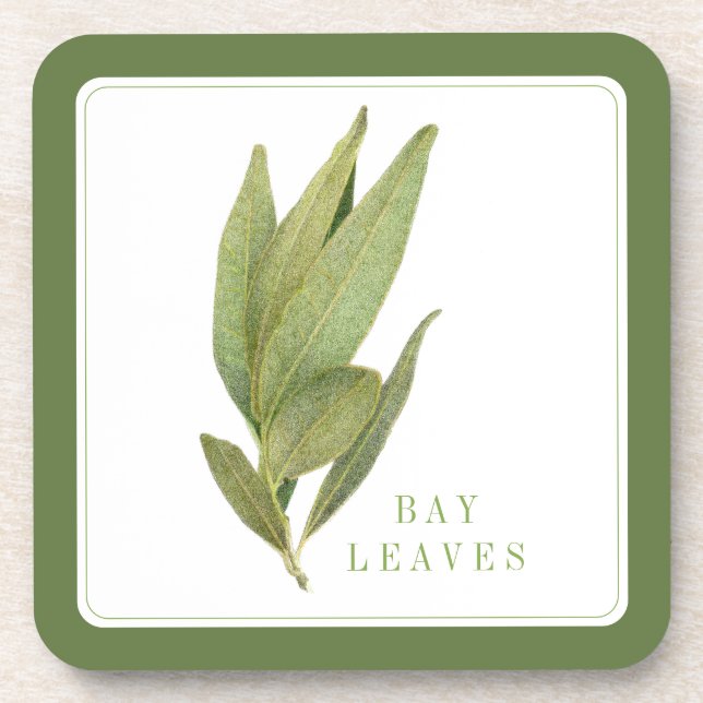 FEUILLES DE LAURIER FRAÎCHES Dessous de verre en p (Devant)