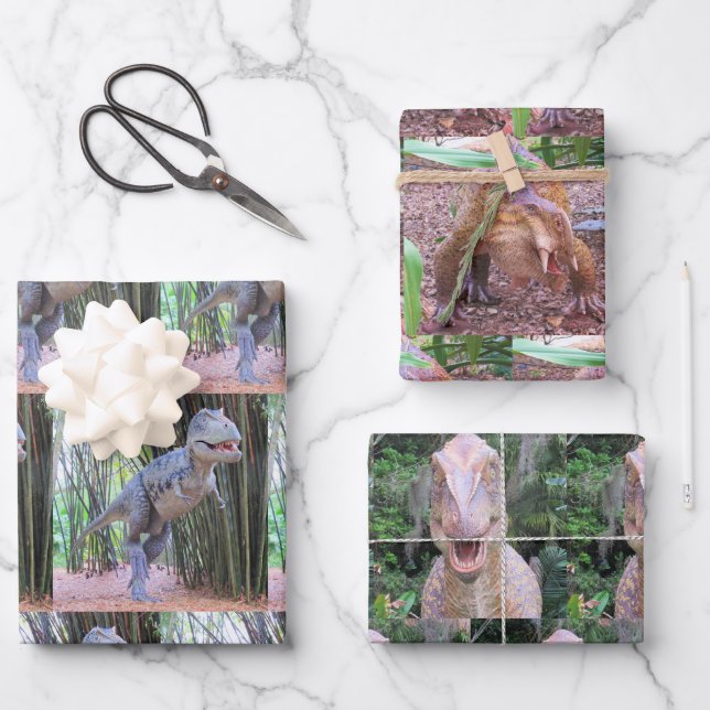 Feuilles de papier à enveloppement de dinosaure -  (Recto)