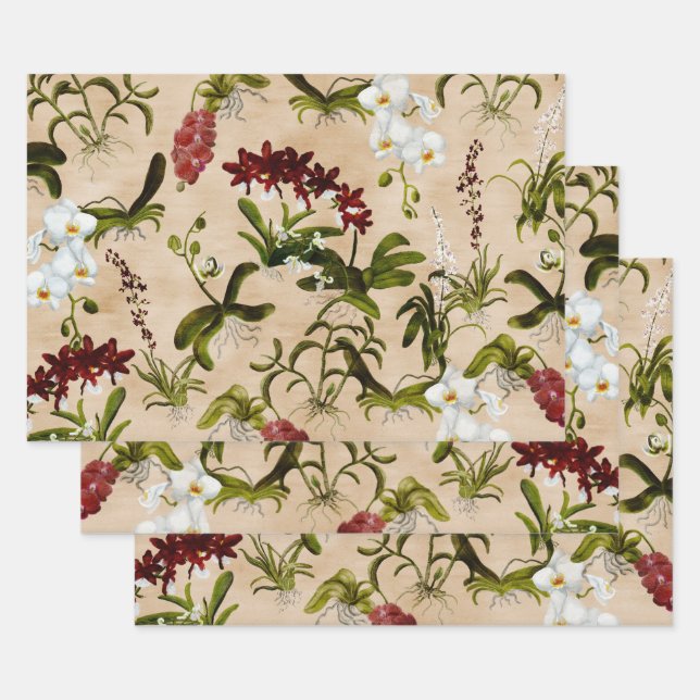 Feuilles de papier à envelopper - Motif orchidée à (Lot)