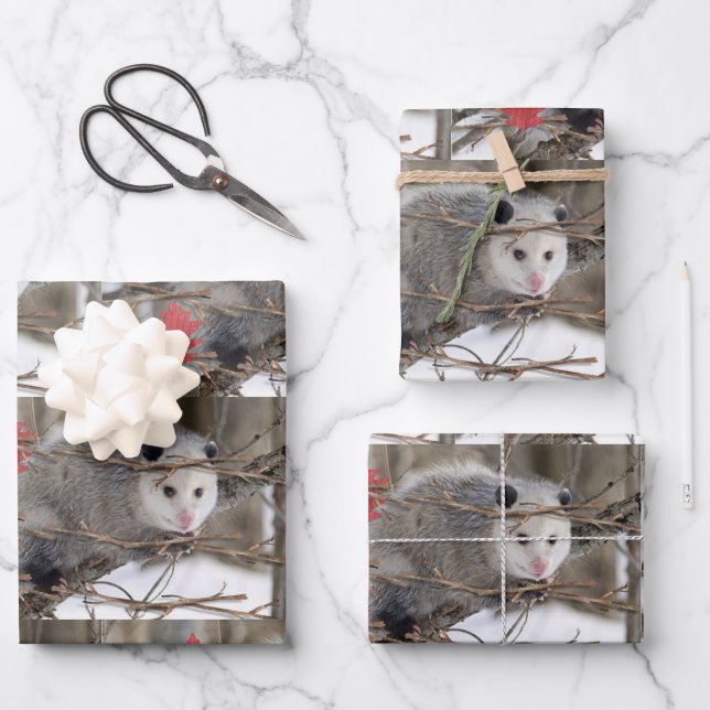 Feuilles de papier à envelopper Opossum Nature (Recto)