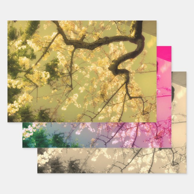 Feuilles de papier d'emballage : Collection floral (Lot)