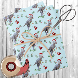 Feuilles de papier d'emballage de Noël de dinosaur