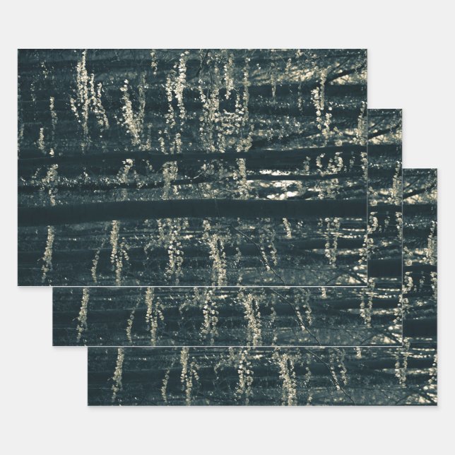 Feuilles de papier d'enveloppement de photos de la (Lot)