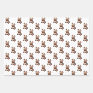 Feuilles de papier d'enveloppement du Terrier du Y