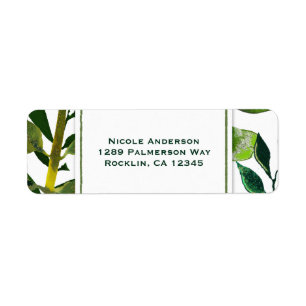 Feuilles de plante glamour botanique vert mariage