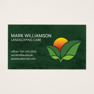 Feuilles de soleil Paysage Jardin Vert