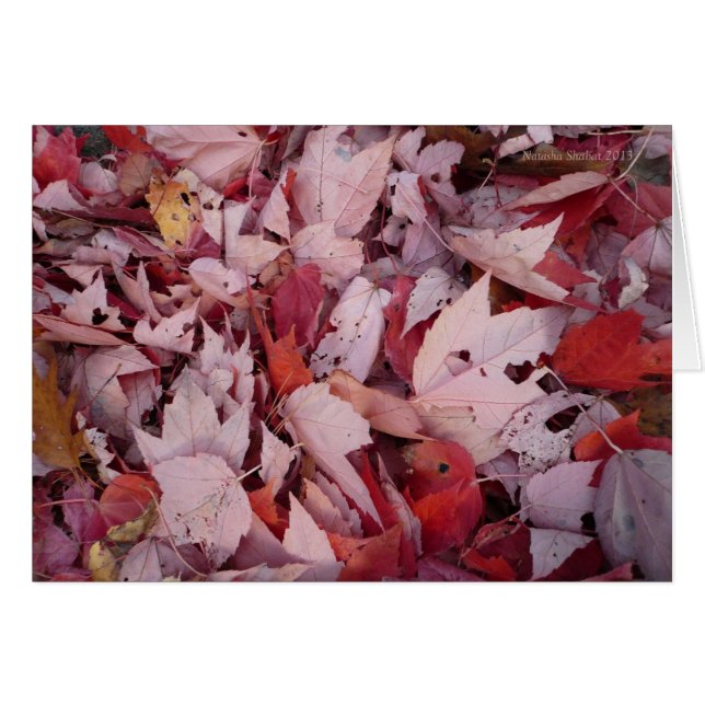 Feuilles de Walden Pond (Devant horizontal)