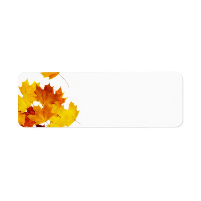 Feuilles d'érable (Devant)